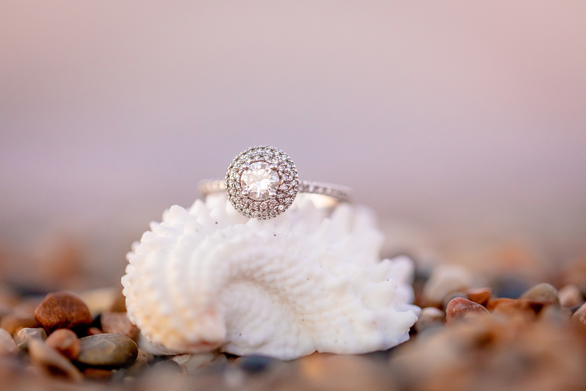 engagement ring on white seashell 